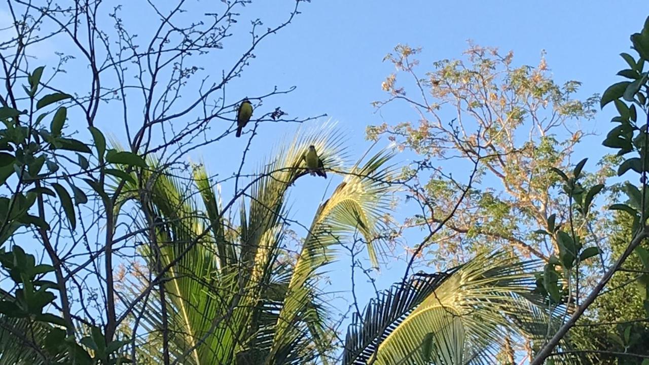 Villa Tortugas Akumal Eksteriør billede