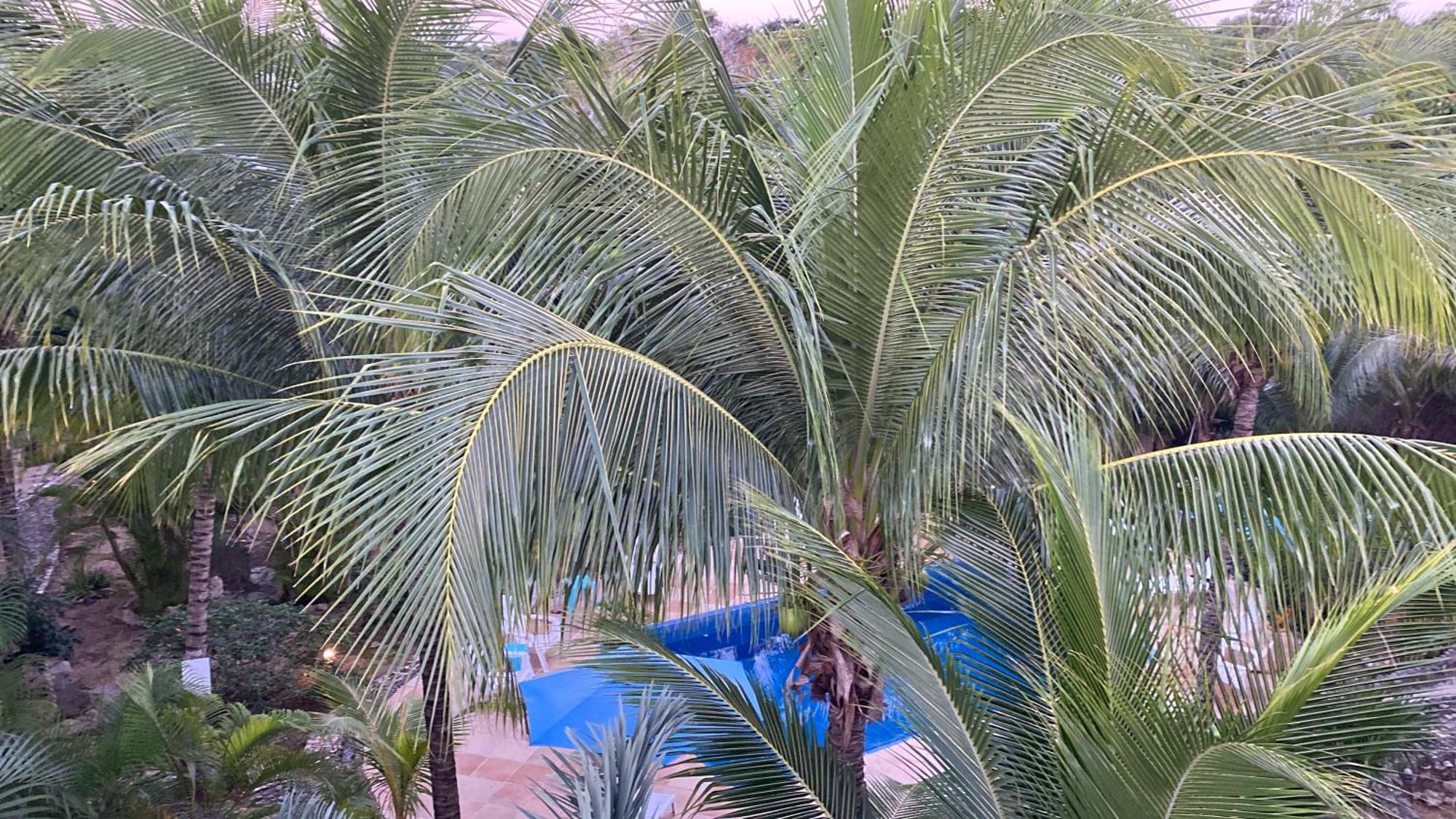 Villa Tortugas Akumal Eksteriør billede
