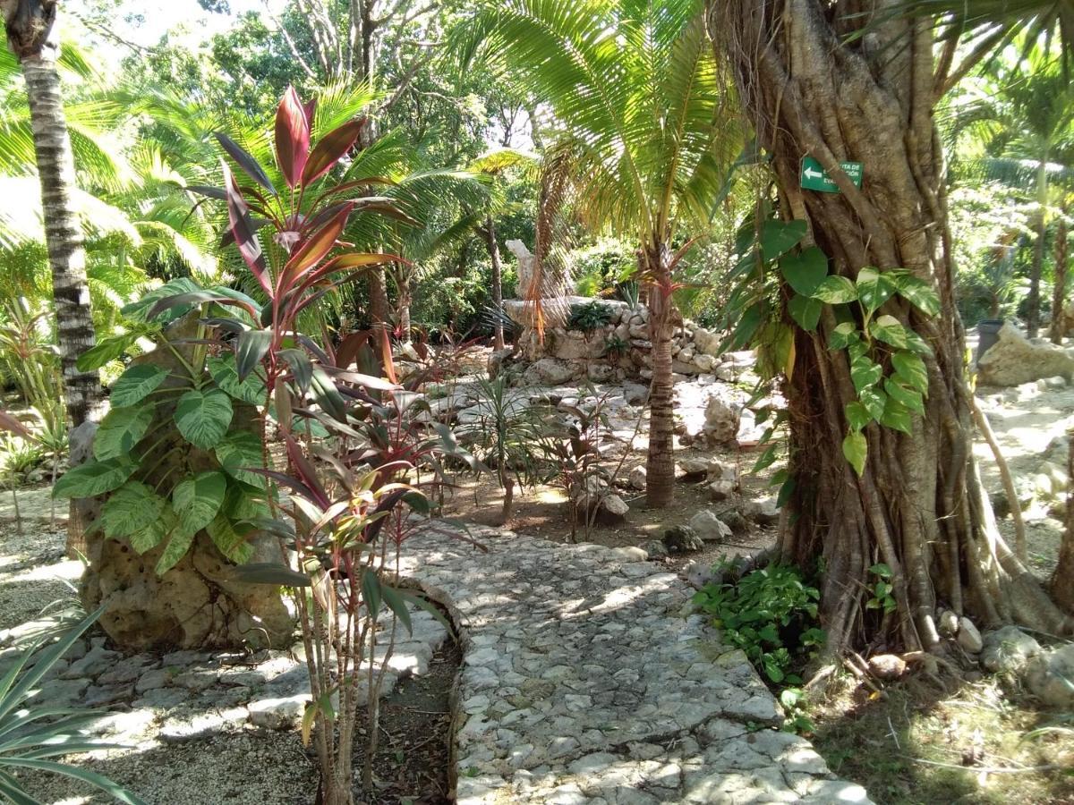 Villa Tortugas Akumal Eksteriør billede