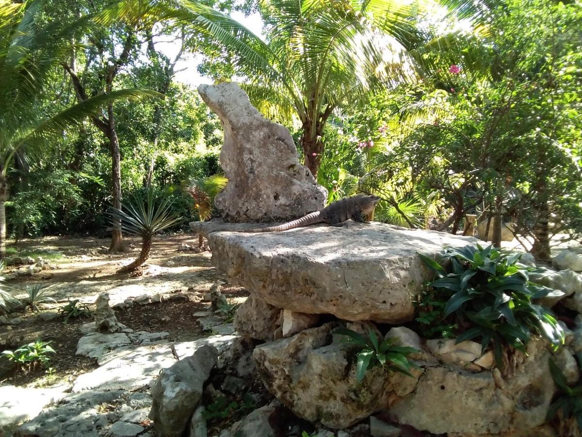 Villa Tortugas Akumal Eksteriør billede